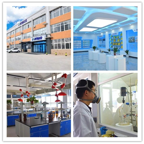 9-Acridinecarboxylic Acid R&D center
